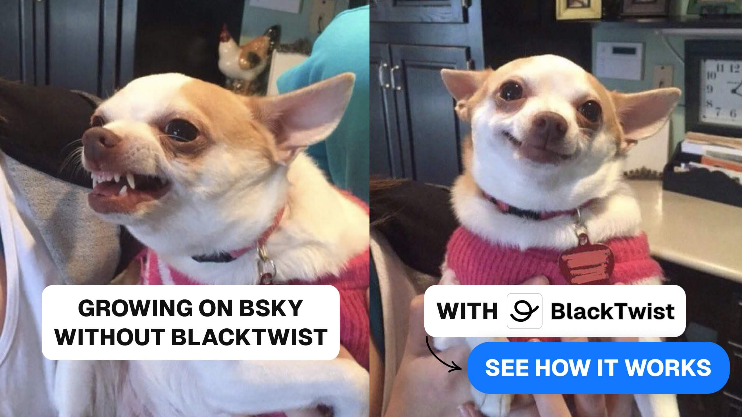 Grow your audience on Bluesky, 10x faster